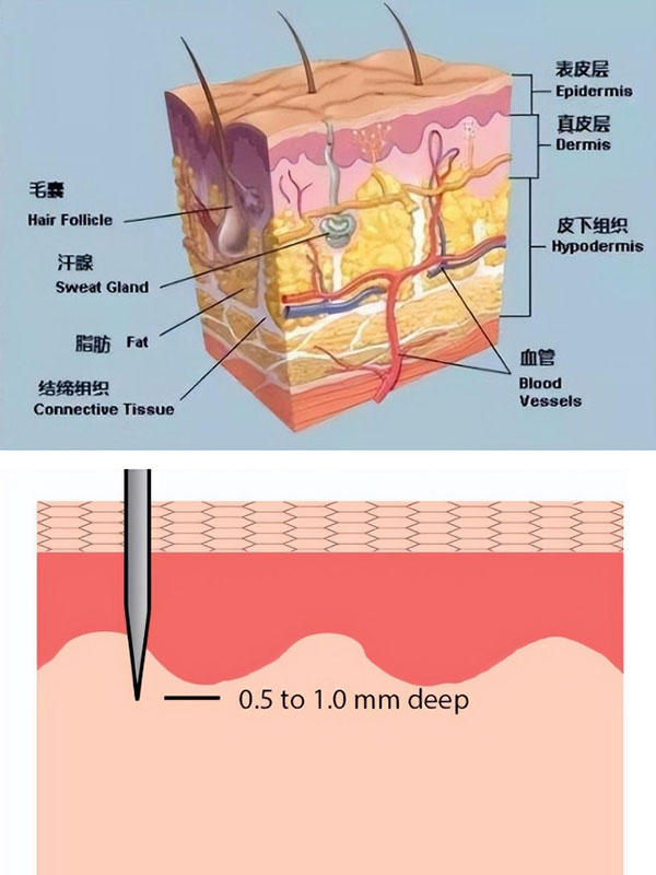 黑米3D纹发操作位置