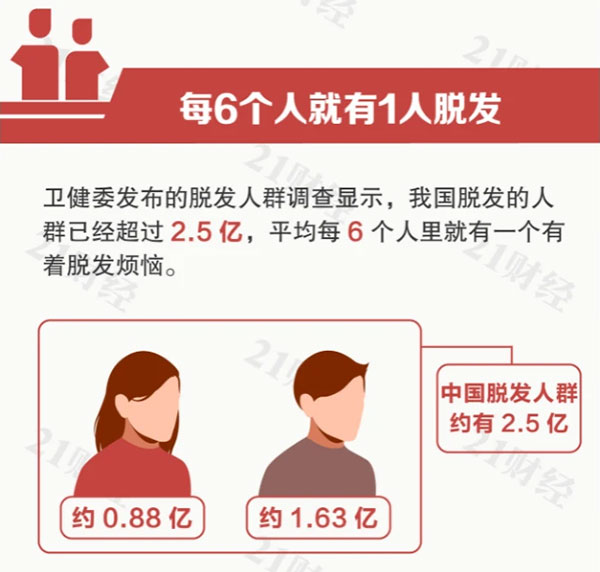 我国脱发人群已超过2.5亿人