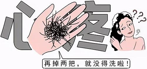 头发出油脱发-频繁洗头