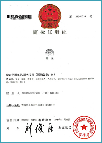 商标知识产权四